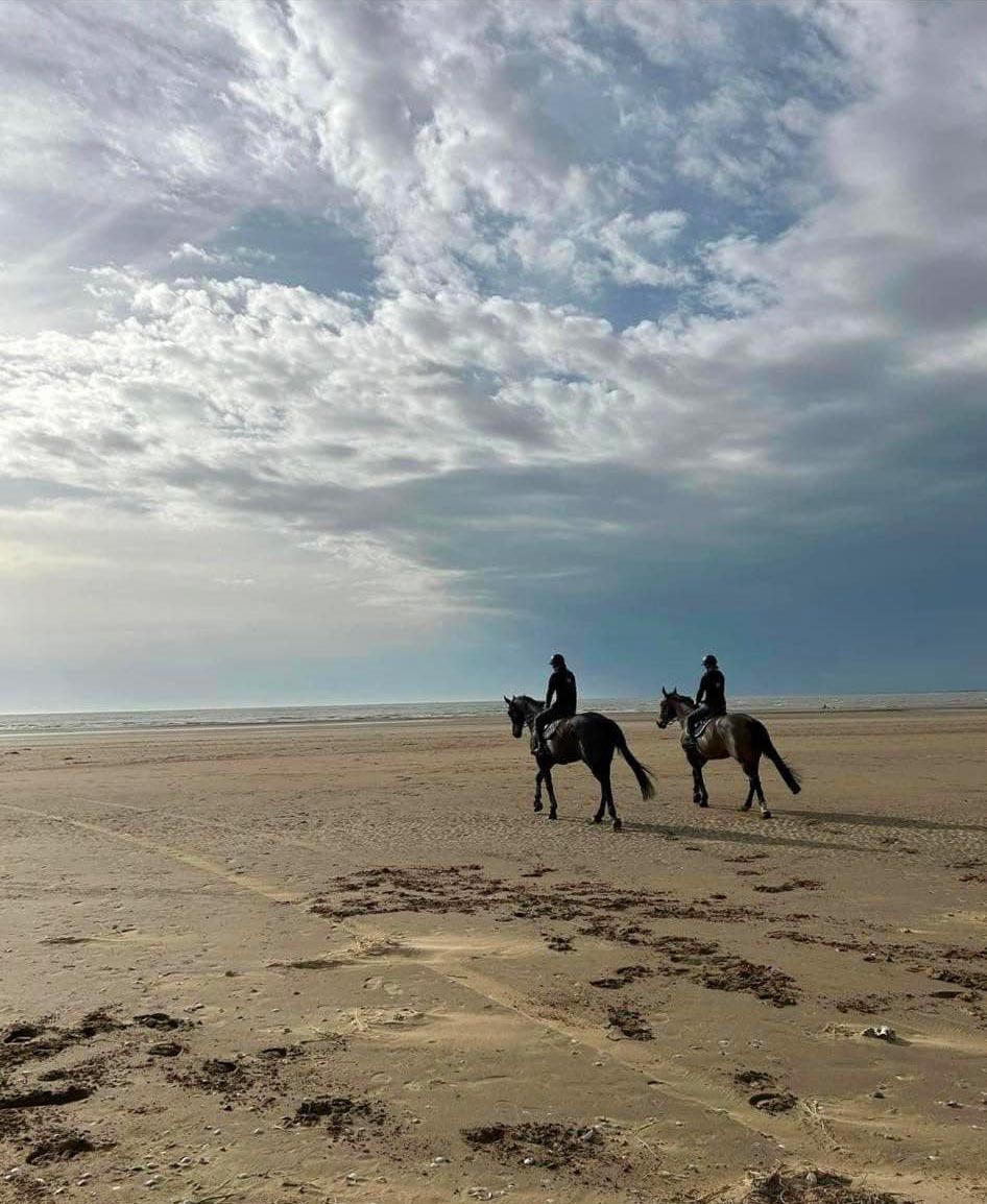 A cheval sur la plage