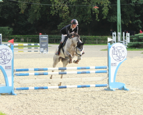 Johann et Jersey sautent par dessus un obstacle à St palais sur Mer 2025